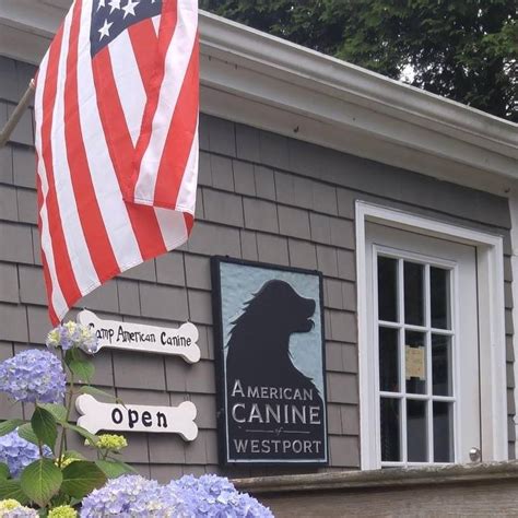 american canine westport|dog kennel rockwell rd.